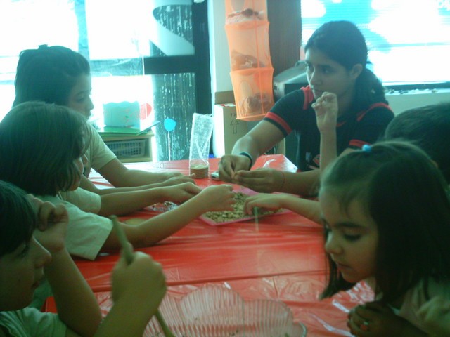 IMAG0046.JPG